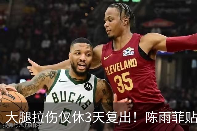 大腿拉伤仅休3天复出！陈雨菲贴满肌贴鏖战 2-1逆转后吐露心声