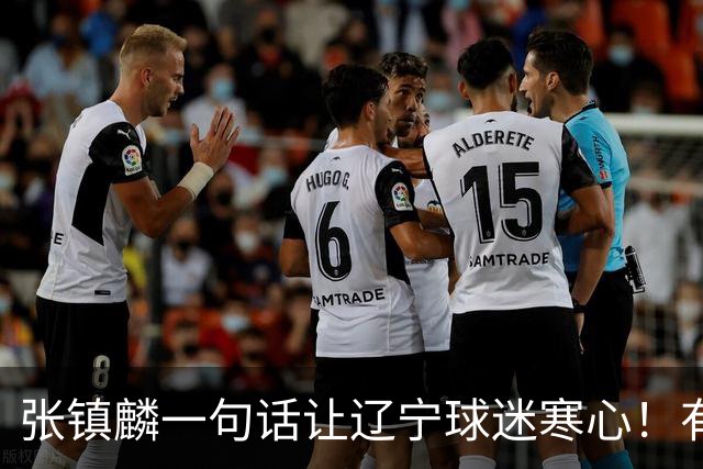 张镇麟一句话让辽宁球迷寒心！有些话不能说得太直白，耗子尾汁吧