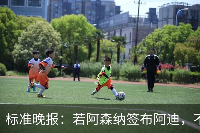 标准晚报：若阿森纳签布阿迪，不需要担心他下赛季中途参加非洲杯